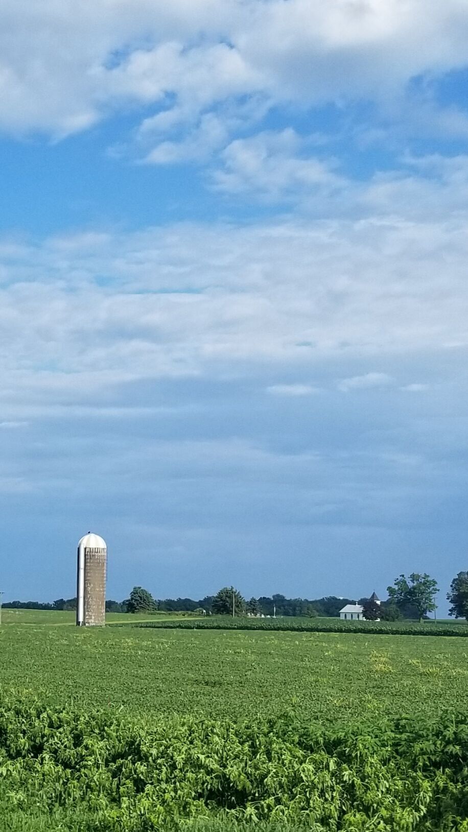Beautiful day